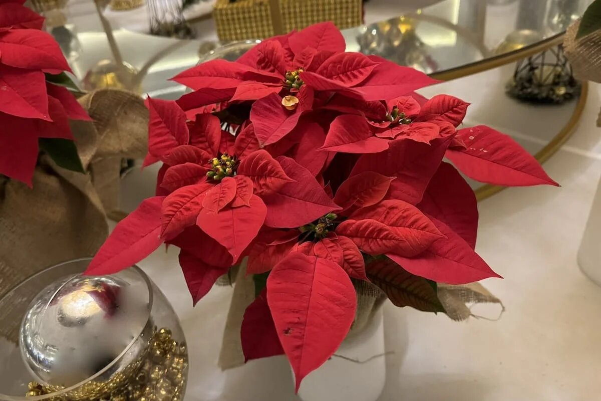 Фото: UfaTime.ru