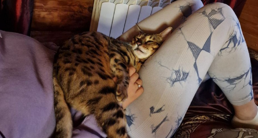    Фото Анастасии Дмитриевой