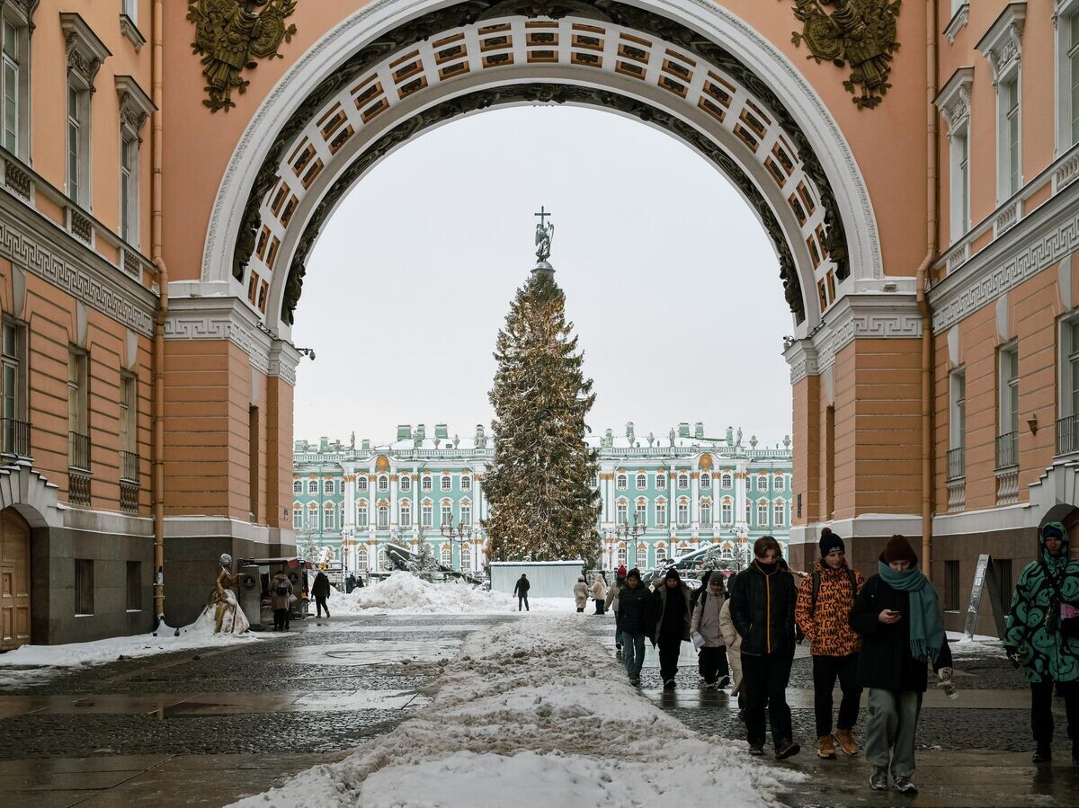    Главная елка Санкт-Петербурга на Дворцовой площади | © РИА Новости / Алексей Даничев