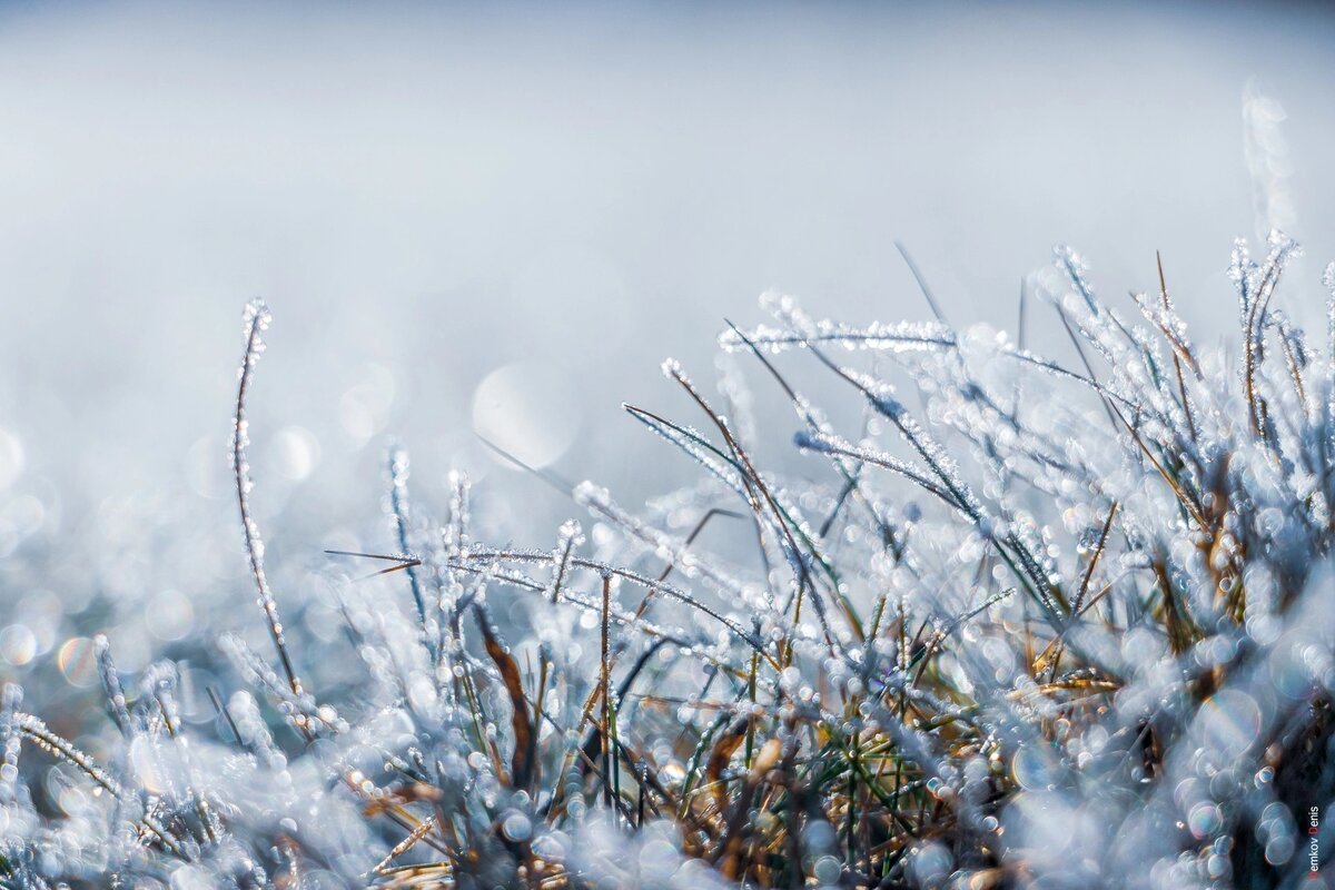    Фото: Денис Демков