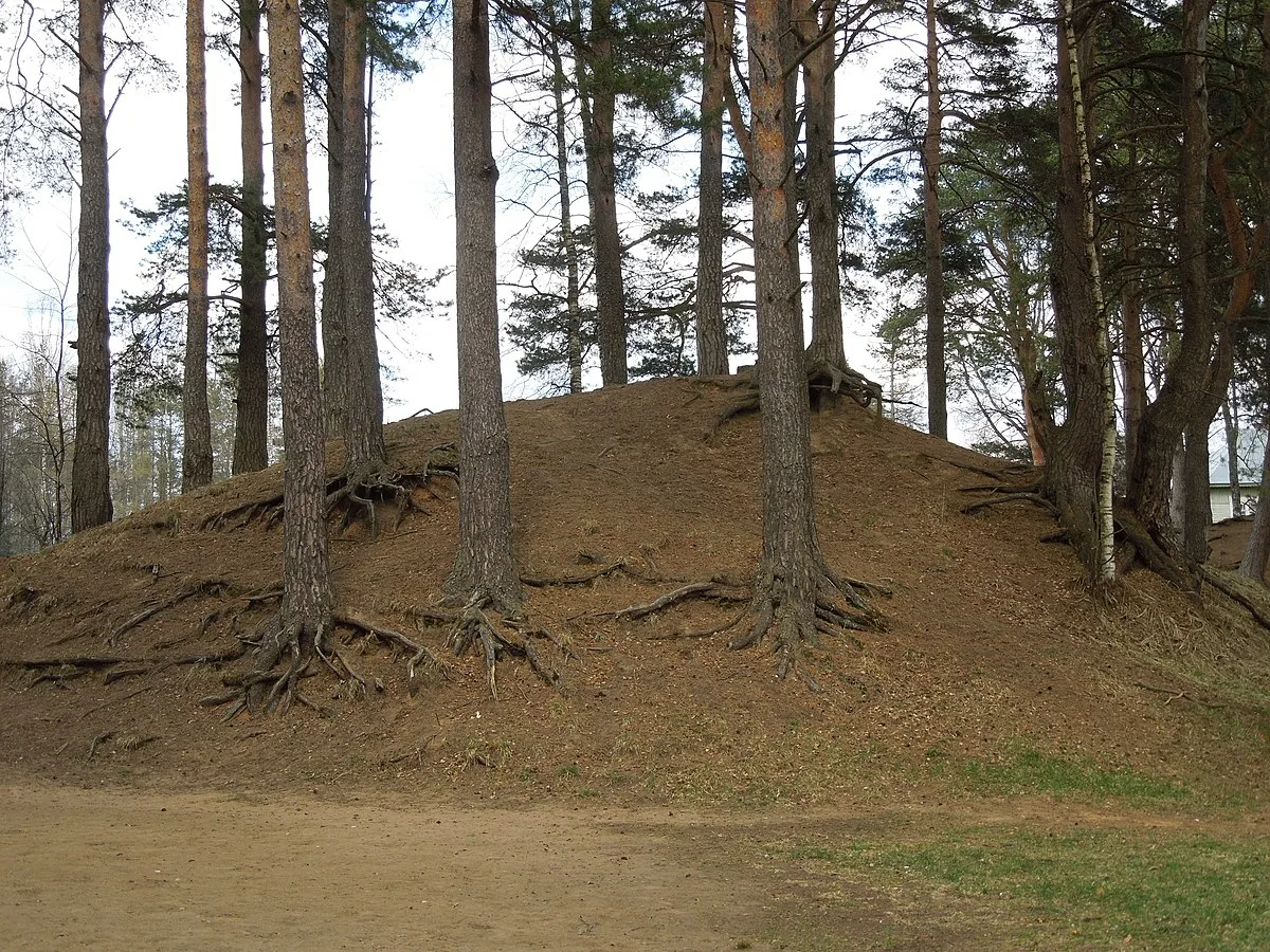 Новгородская_обл., Любытино - сопка