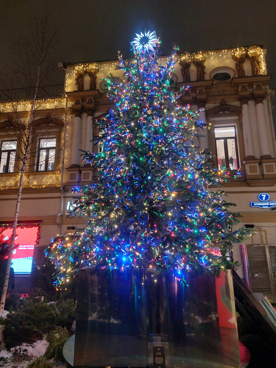 Елка от Егора Крида