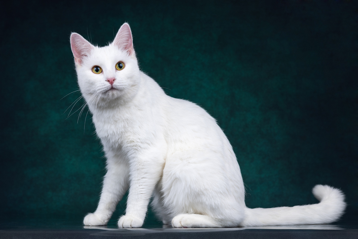 Может, меня не берут, потому что я чересчур красивый?