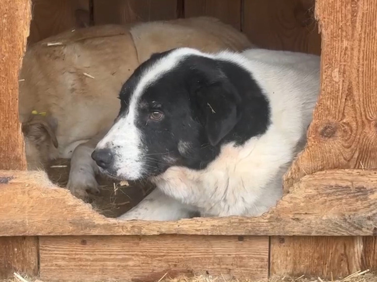     Фото:тг администрации Владикавказа