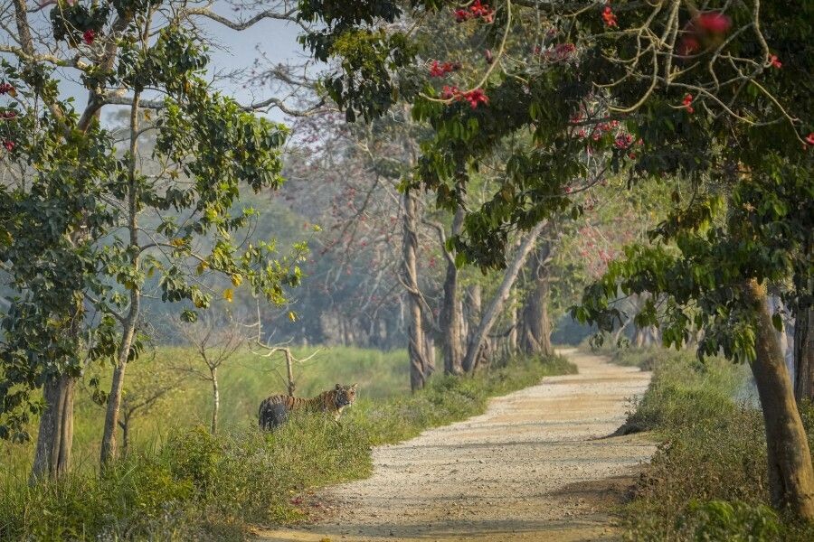     / Источник: © AP/TASS