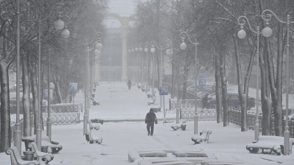    © Sputnik / Виктор Толочко