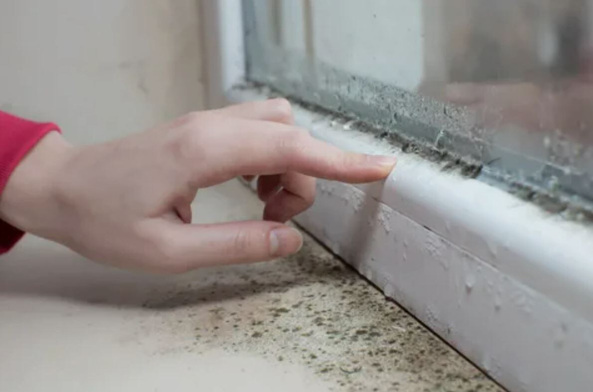 Причины запотевания окон