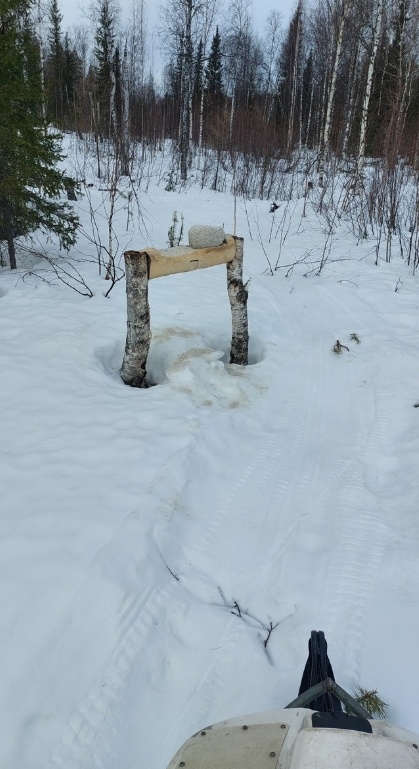 солонец для подкормки животных