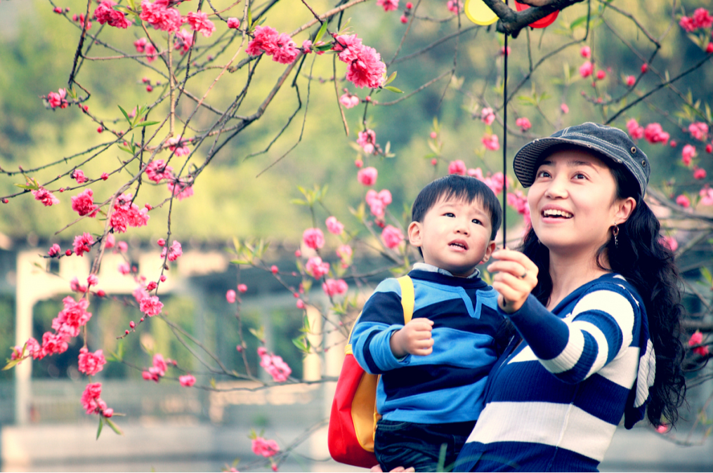 Мама привела малыша на первое любование сакурой