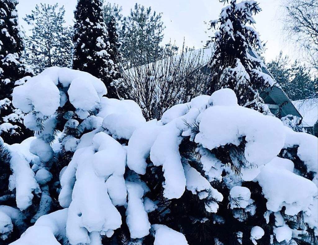    Фото из архива редакции Валерия Стальная