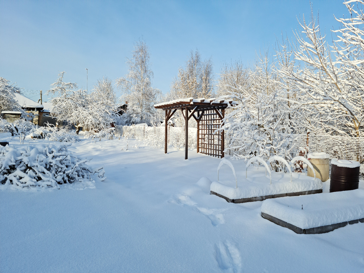 Короткие набеги на дачу. Нетронутый заснеженный участок. Красота! 