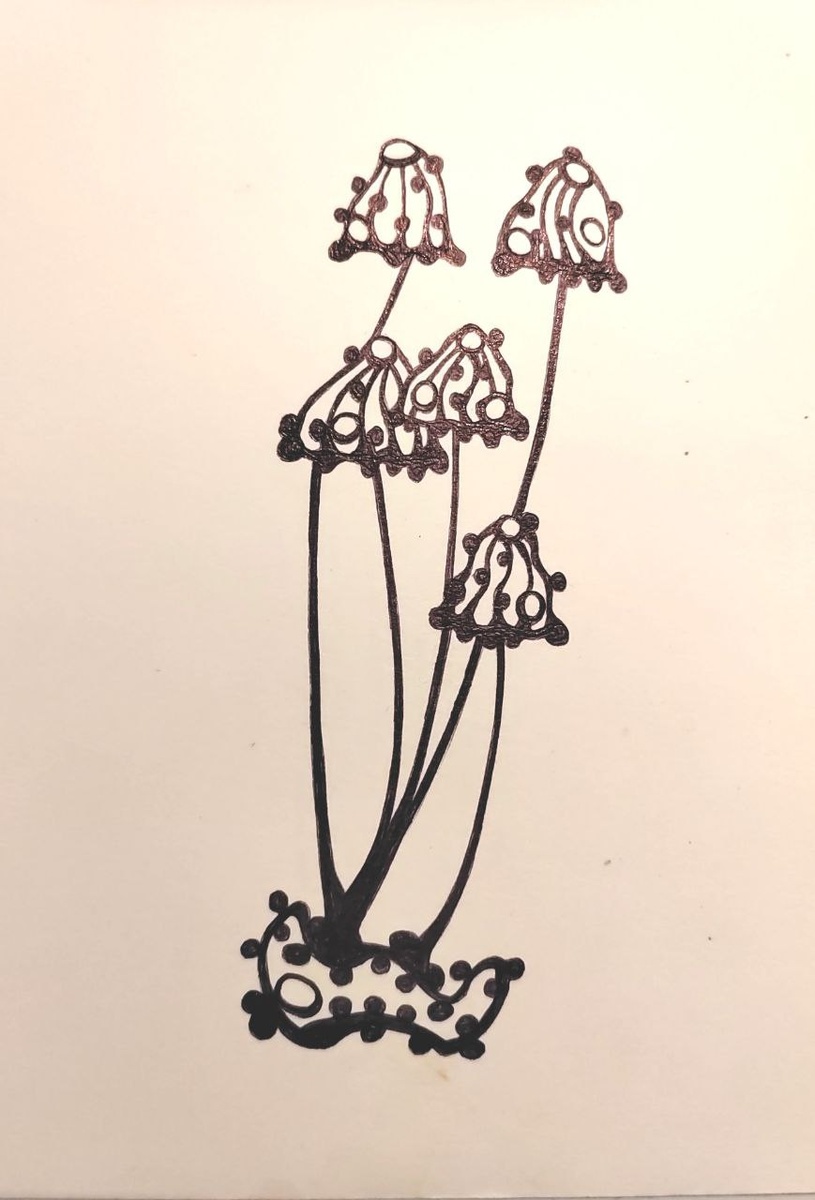 автор рисунка - Наталья Макеева