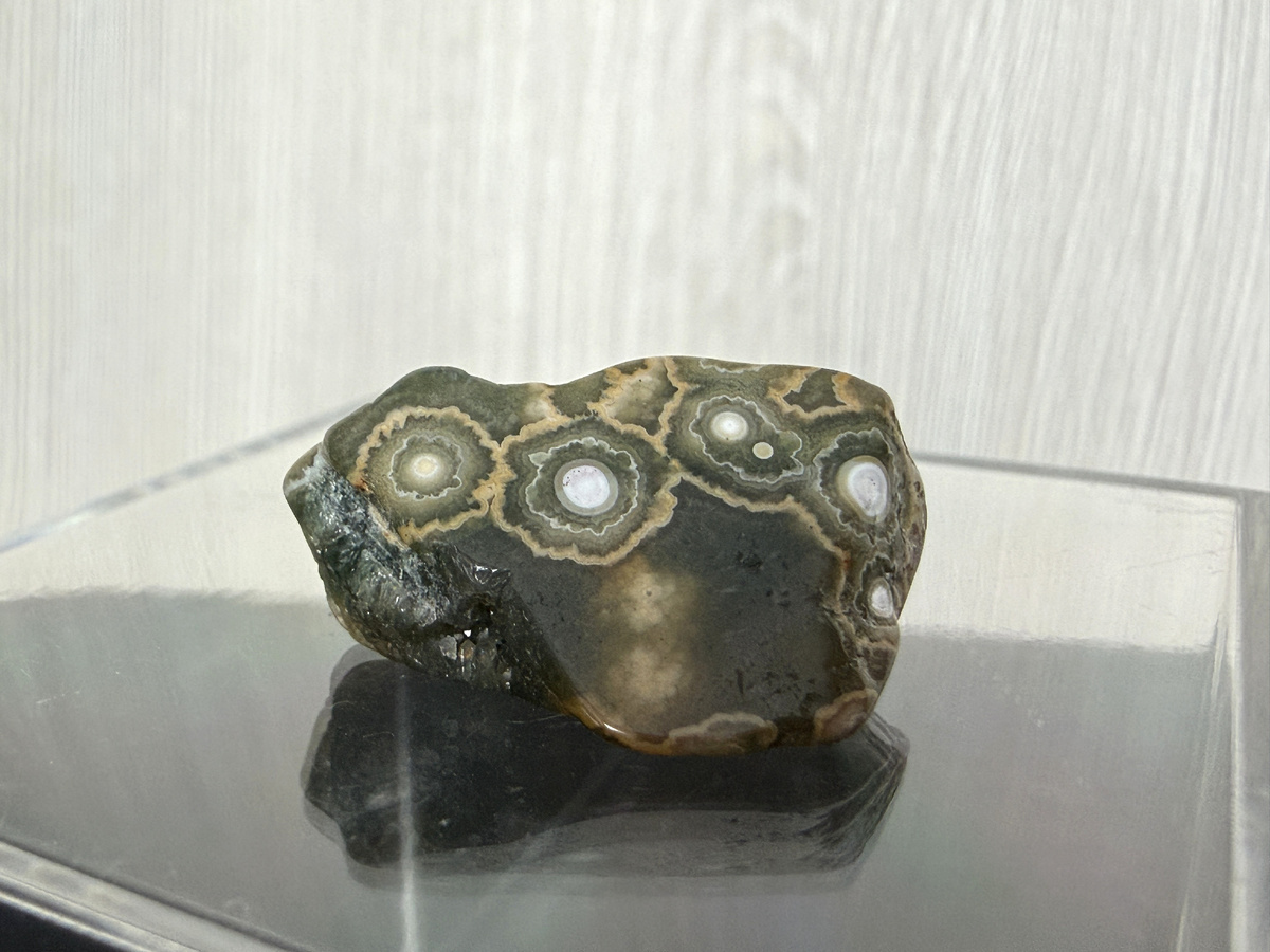 Океаническая яшма родом и побережья Мадагаскара.