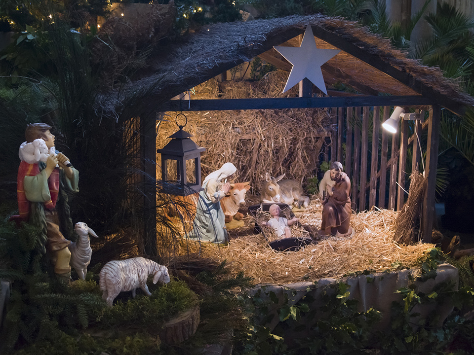    Фото: istockphoto.com/kipgodi