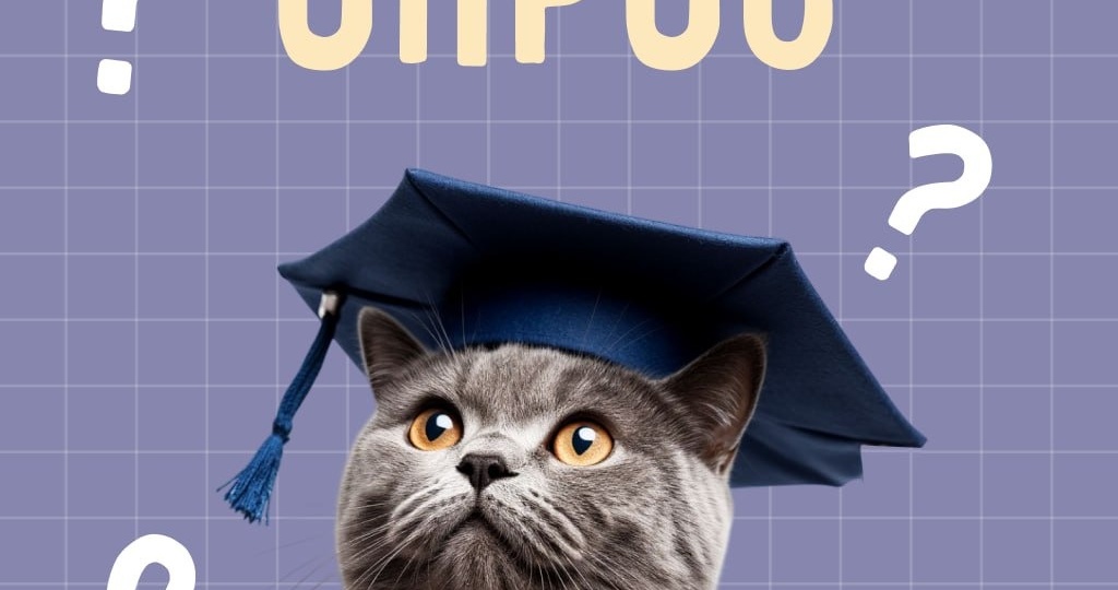 ЕГЭ 25 задание: Раскрываем лексическое значение слова