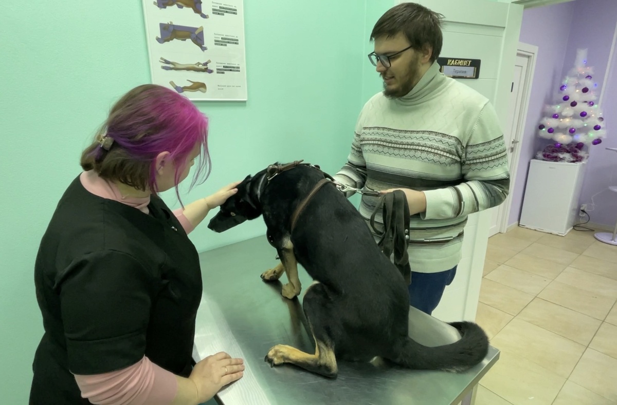 Это было и страшно, и неприятно. Тут, кстати, Миша прям ну очень волосатый! Еще чуть-чуть и быт бы как я 🤣!