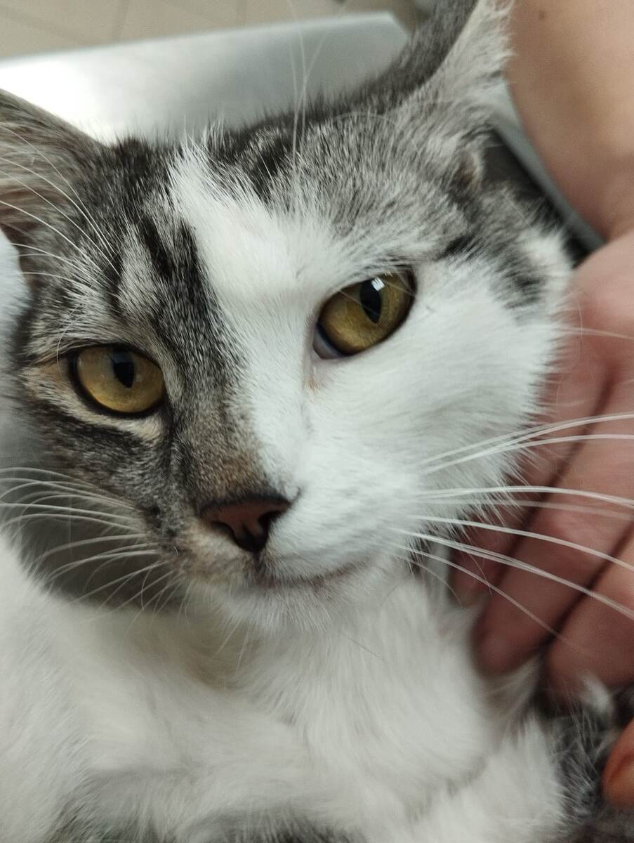 "Не гонись за славой, дорогой, слава всё равно тебя обгонит" (с)