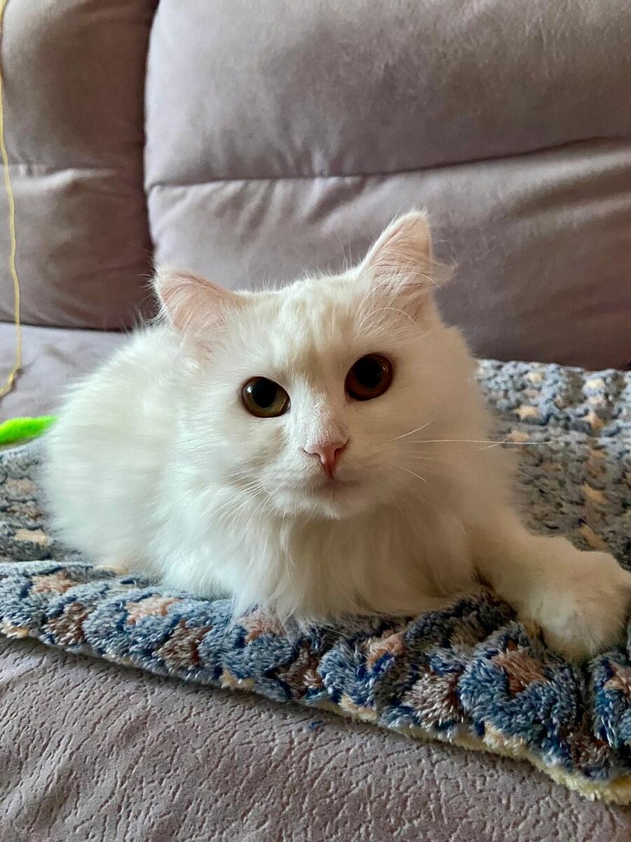 "Все люди как люди, а я суперзвезда" (с)