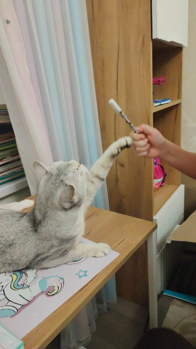 «Ручкой интереснее играть, чем уроки делать».