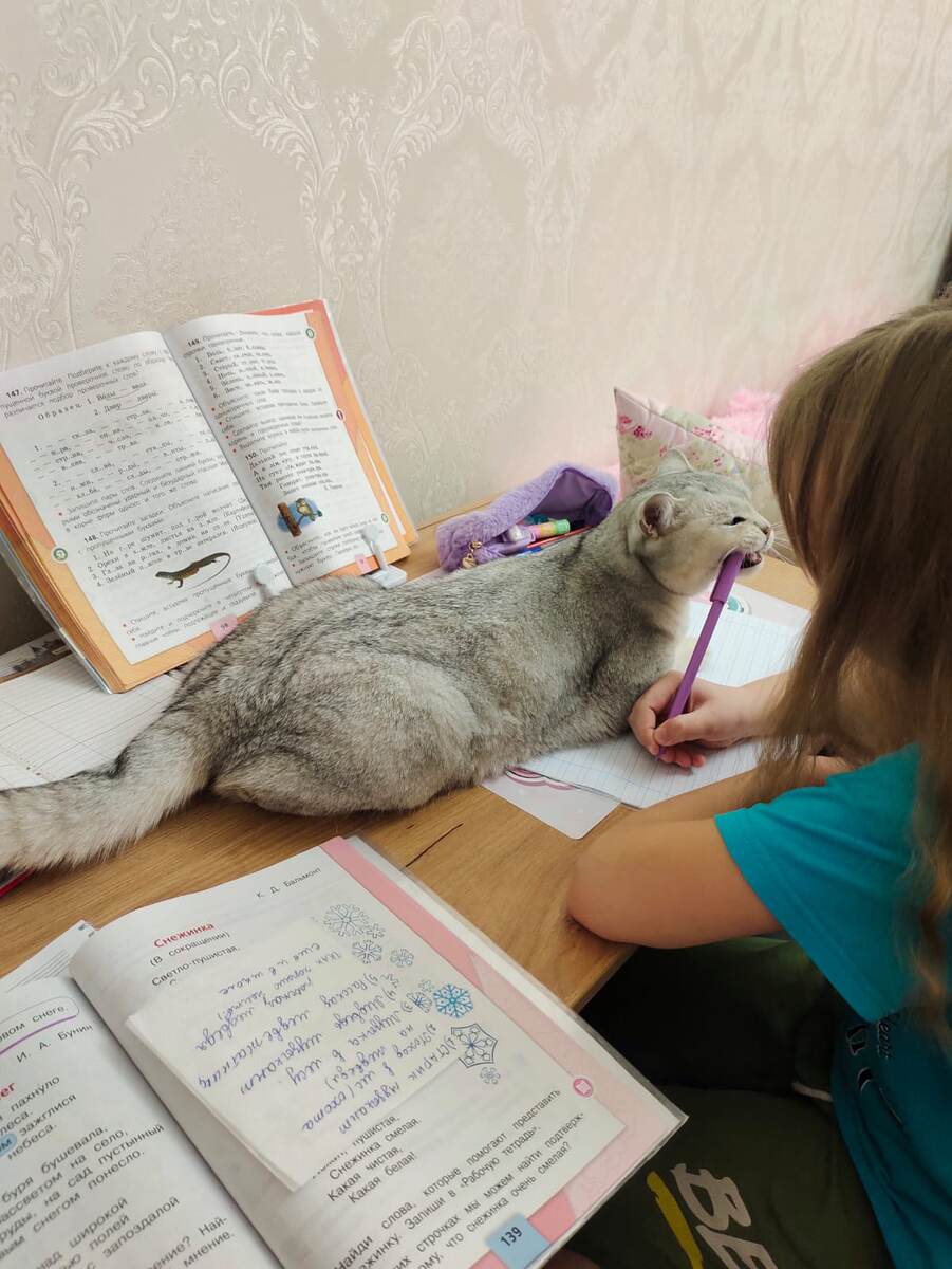 «Да что ты всё учишься и учишься? Новый год на носу! Хватит писать! Иначе сейчас твою ручку сгрызу. Итак много пятёрок получила».