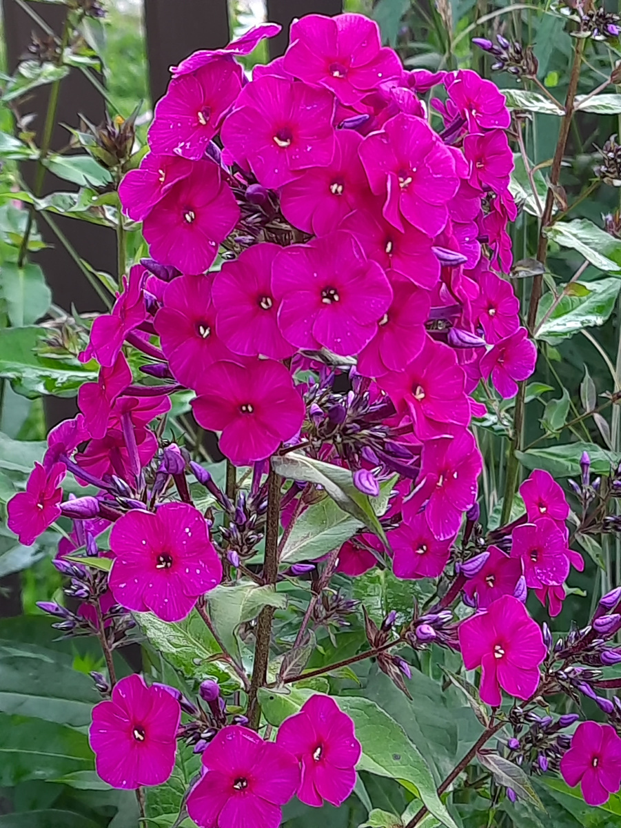 В галерее 6 фото, листайте 