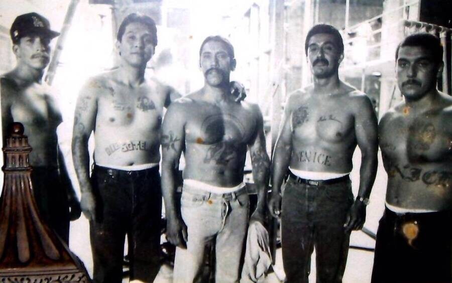 Изображение взято с сайта https://allthatsinteresting.com/wordpress/wp-content/uploads/2021/10/young-danny-trejo-in-prison.jpeg