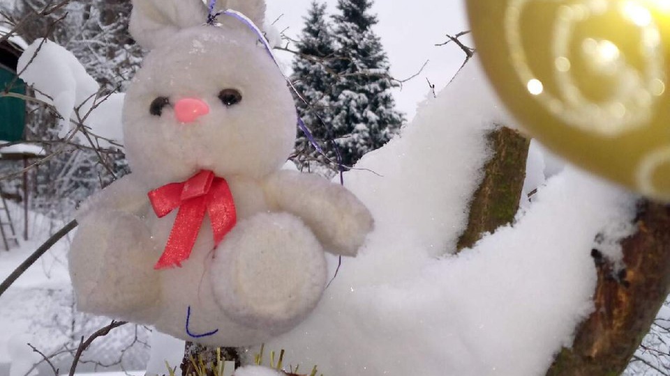 Наша сказочная деревня готовится встречать Новый Год 🎄🌲🎄☃️