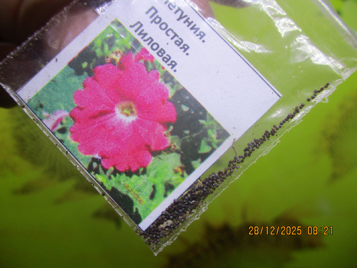 Бесплатные семена петунии со 100% всхожестью может получить каждый заказчик.