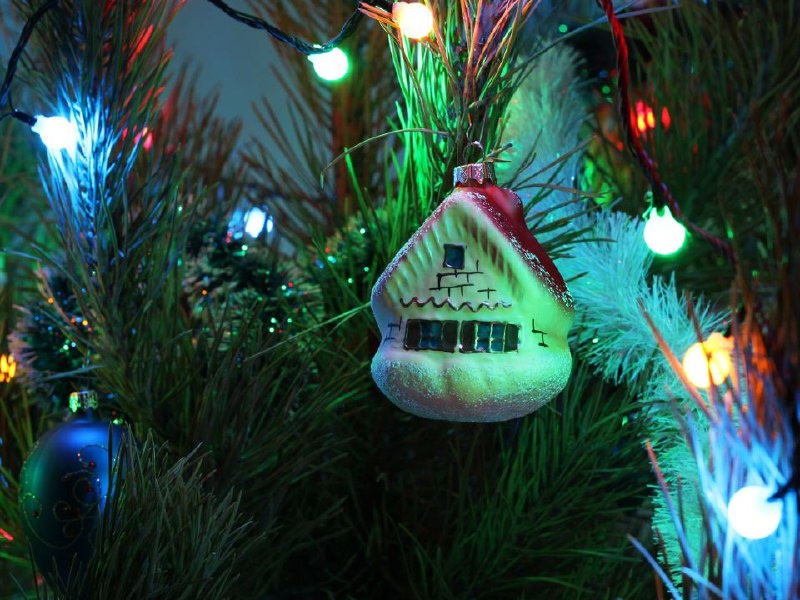    Фото: istockphoto.com/Owl_photographer