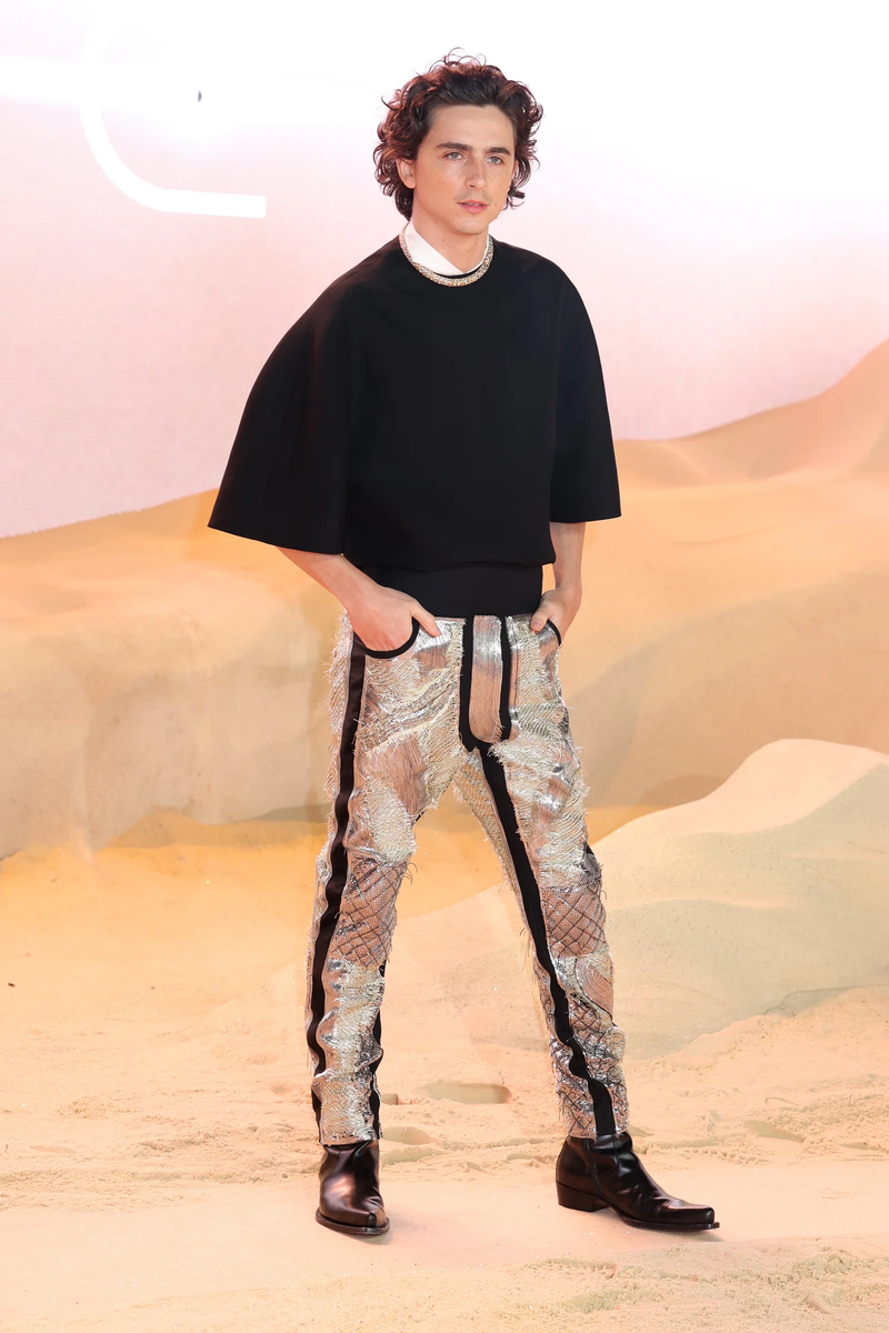 Тимоти Шаламе (Источник: Соцсети)