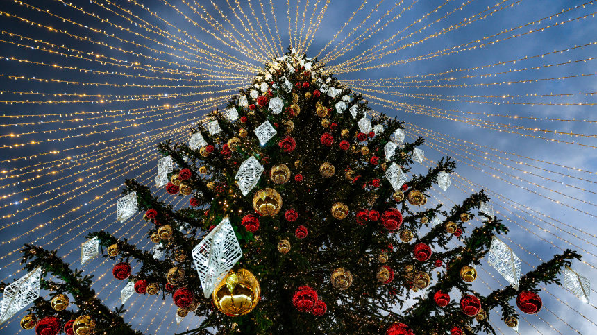    Фото: © РИА Новости/Виталий Невар