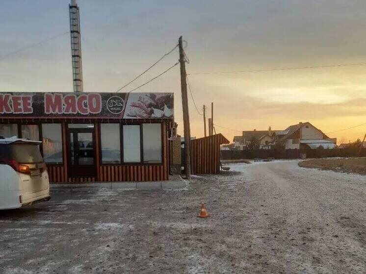     Фото: официальный телеграм-канал Госавтоинспекции Хакасии