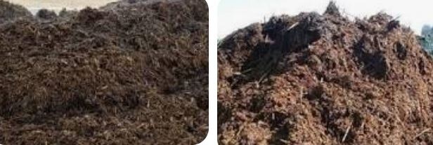 Фото 1 - конский навоз. Фото 2 - коровий навоз. Фото из открытых источников