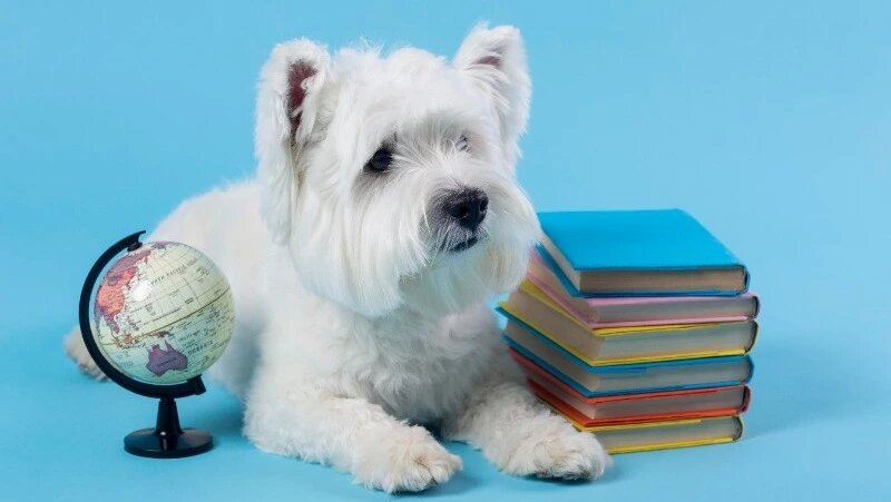      Фото: @freepik / ru.freepik.com