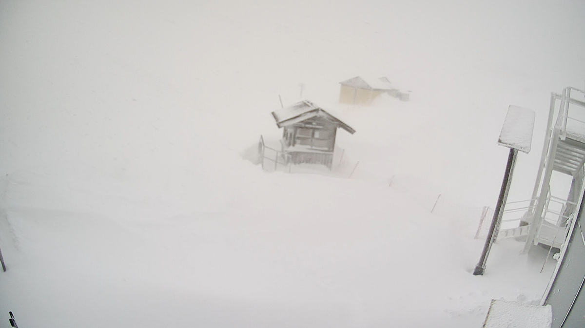 Скриншот веб камеры на Красной Поляне, 26 декабря 2025 года