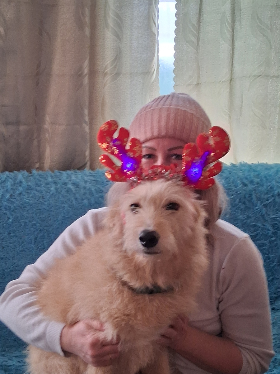 Зевсик любитель посидеть на ручках .