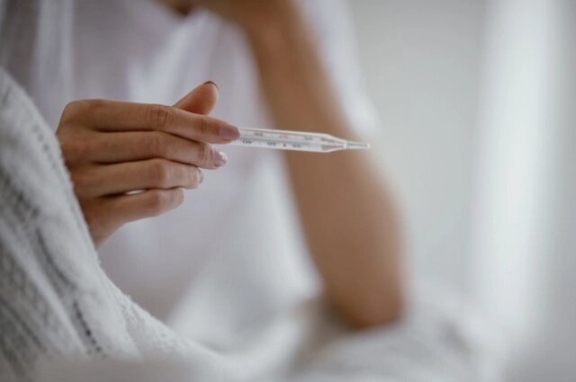    Фото: istockphoto.com/ Milos Dimic