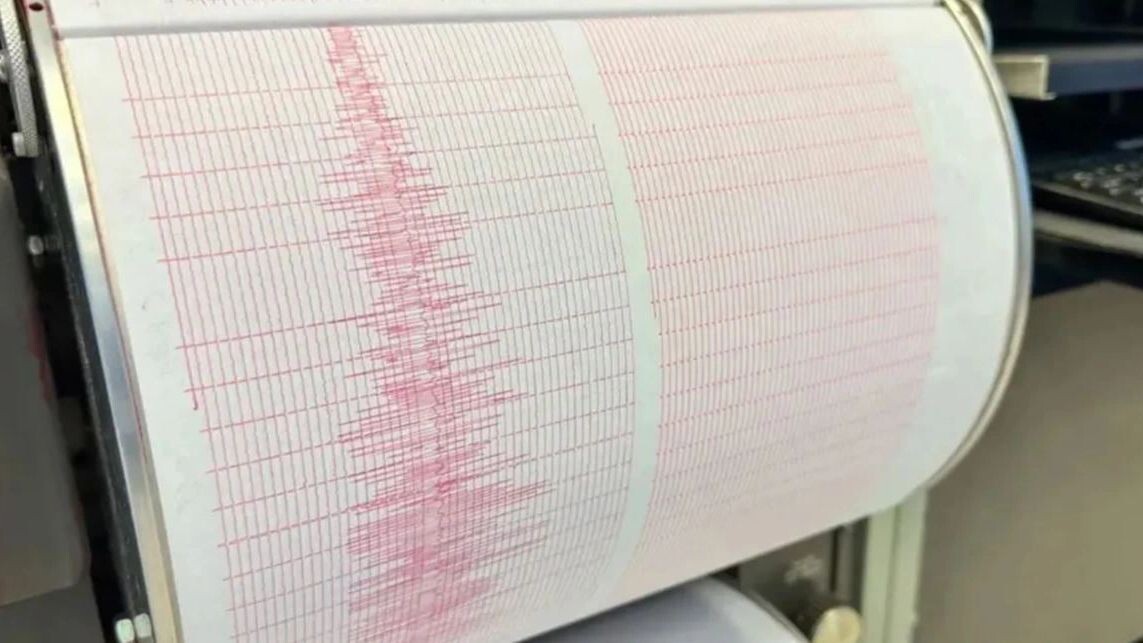    Фото: samoila ionut/Shutterstock/Fotodom