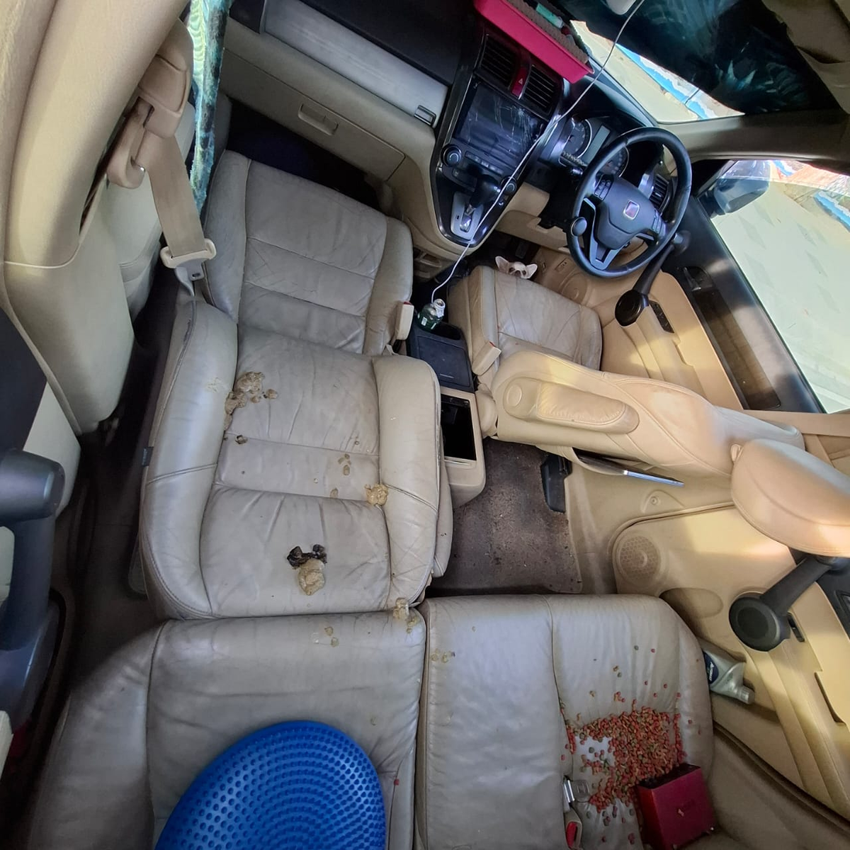 Справа на заднем сидении - Димин корм из Севена. 