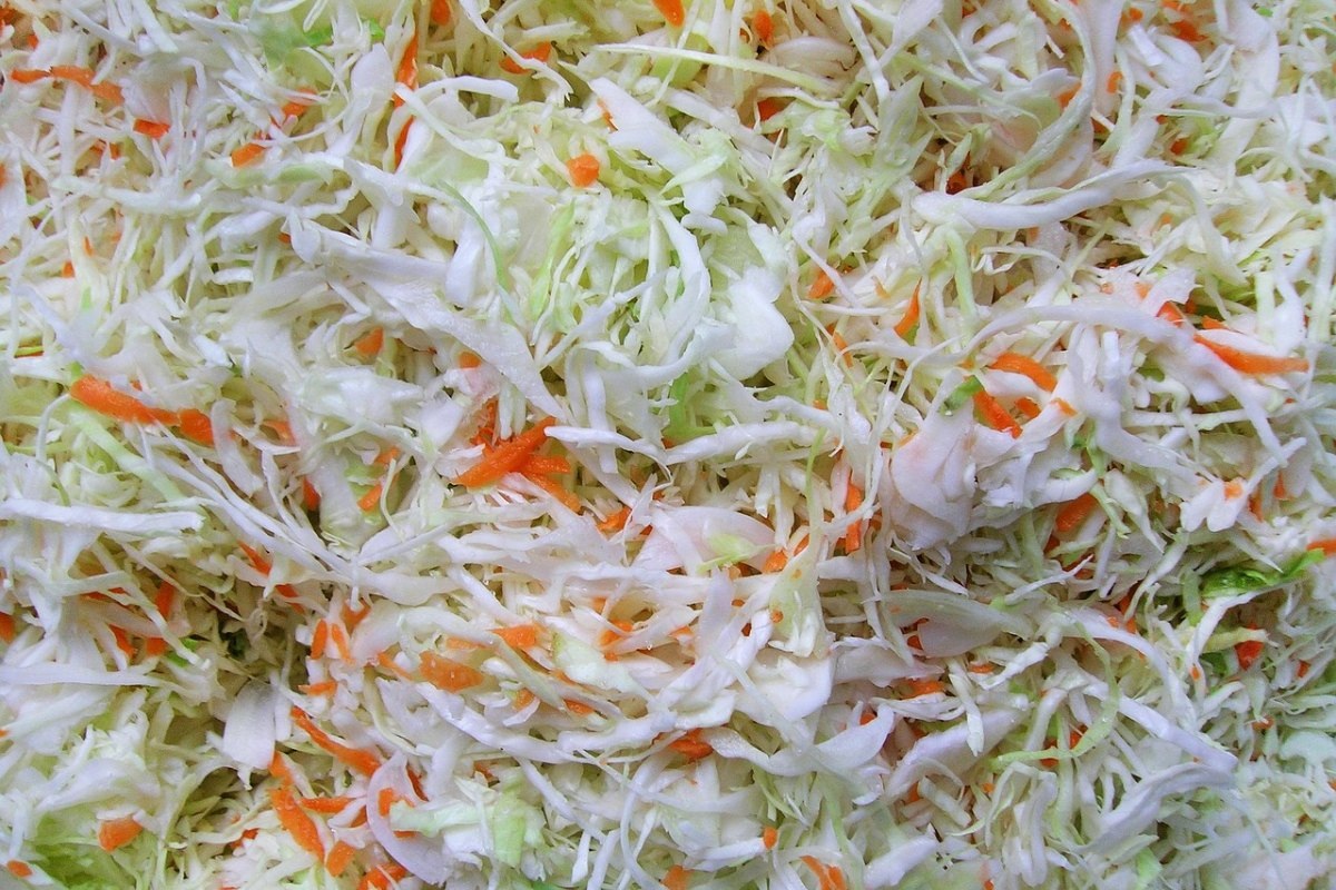    Фото: Pavlofox / Pixabay.com