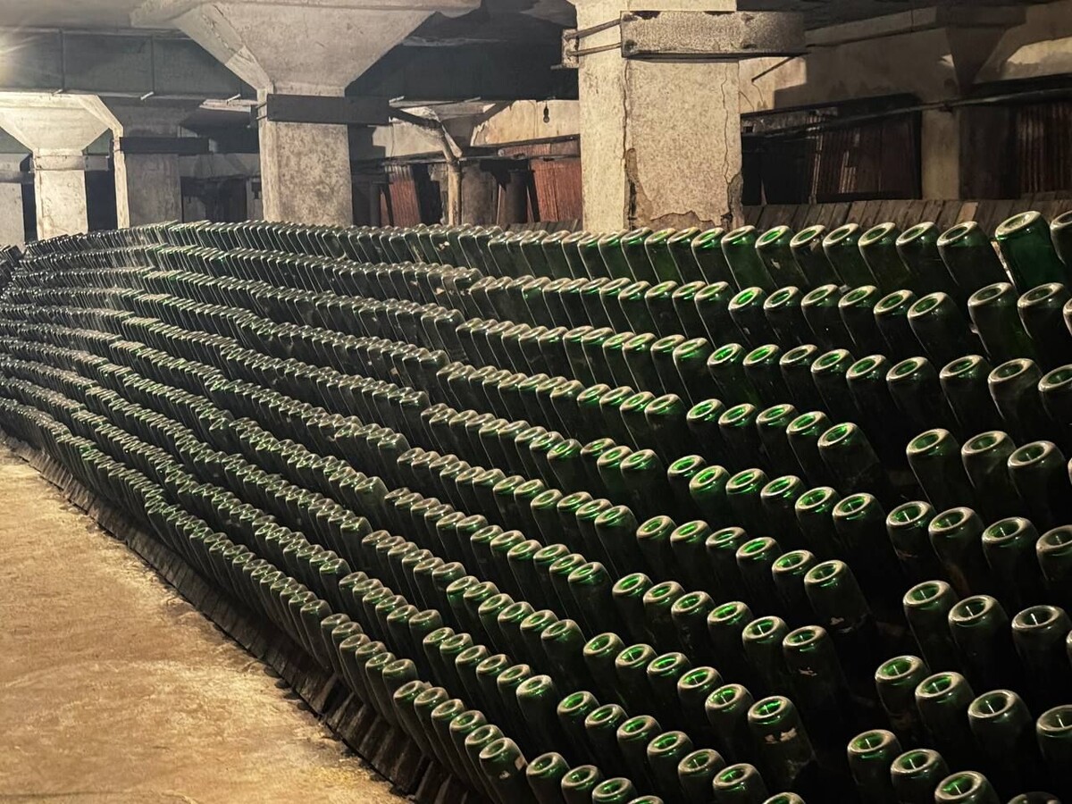 Фото: Гоар Карапетян/МТРК "Мир"