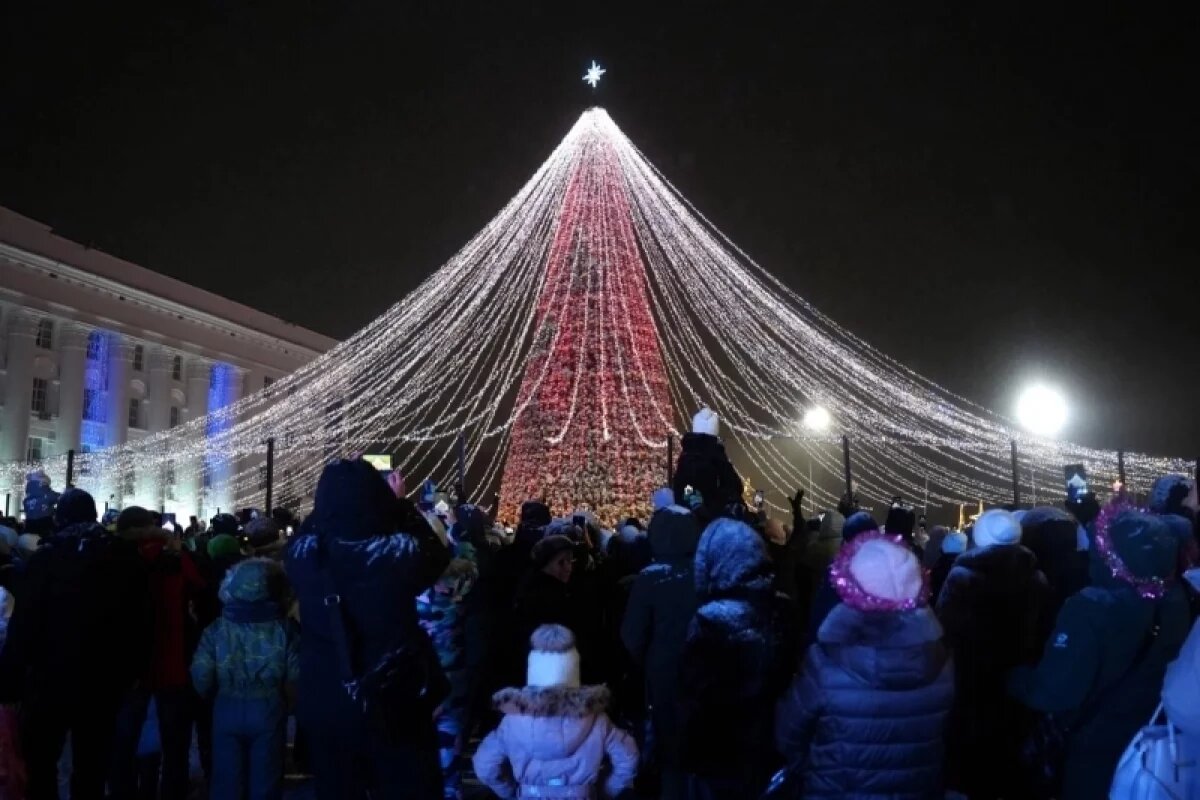    В Ульяновске открыли главную ёлку города и Терем Деда Мороза