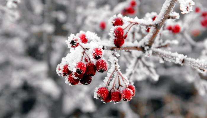 29 декабря в народе отмечается Агеев день (Агей Инесей). Фото: pxhere.com