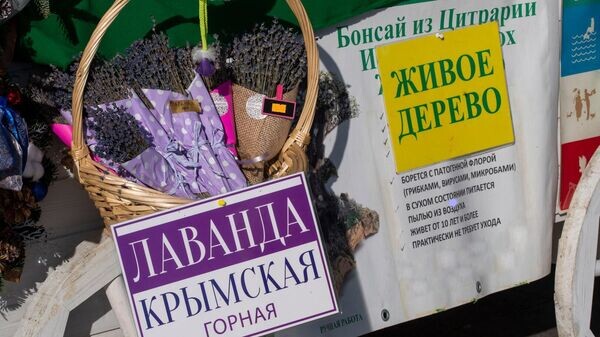    © РИА Новости Крым . Дмитрий Макеев