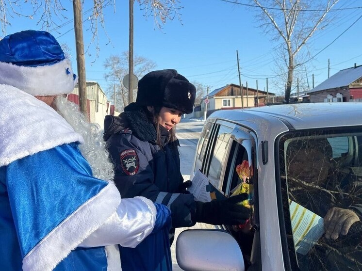     фото: telegram-канал госавтоинспекции забайкалья