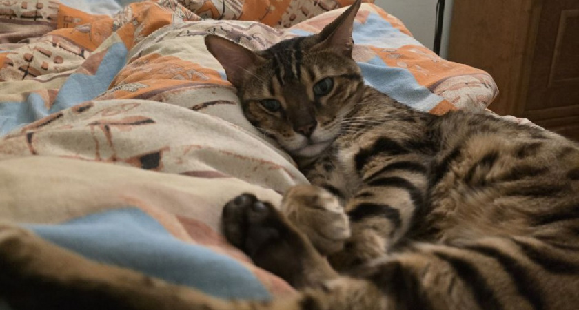    Фото Анастасии Дмитриевой