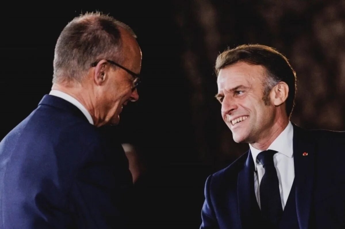    Профессор Дизен указал на расхождения в подходах Макрона и Мерца к России