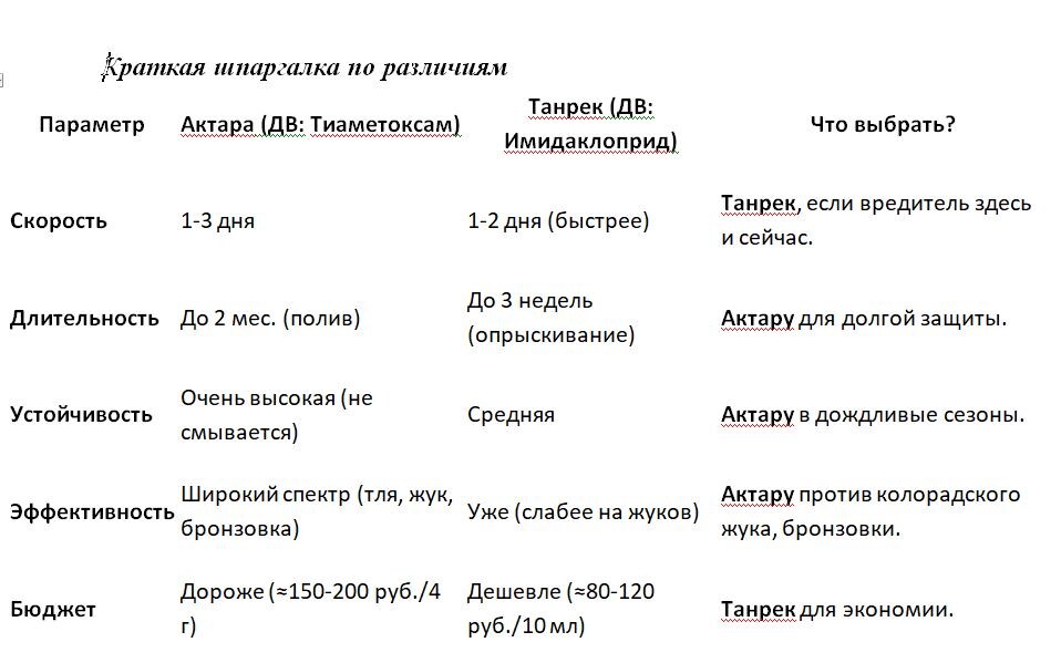 Таблица и фото Натальи Мироновой