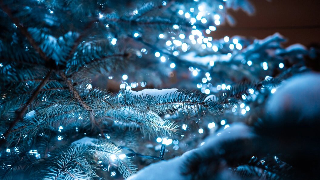    Фото: freepic.com.