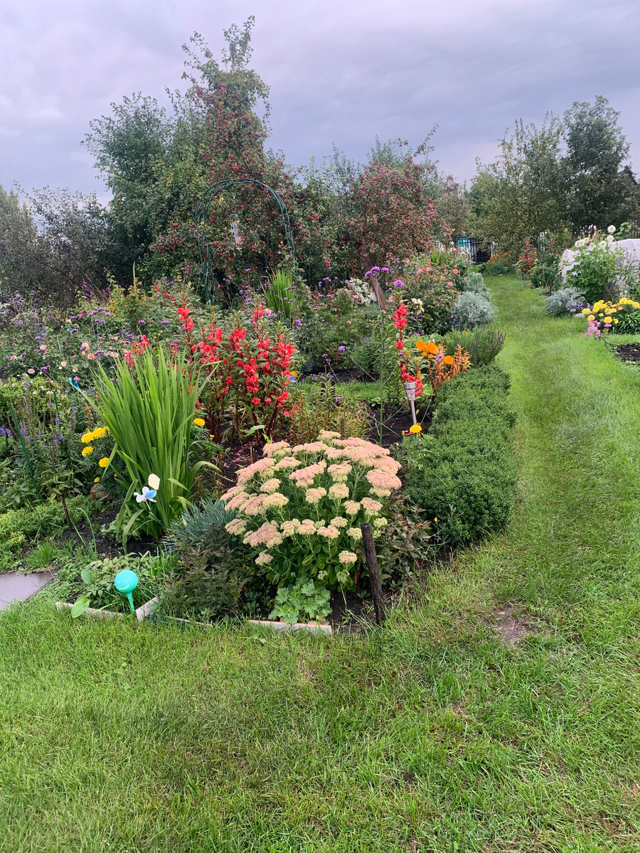 31.08.24фото сделано в к